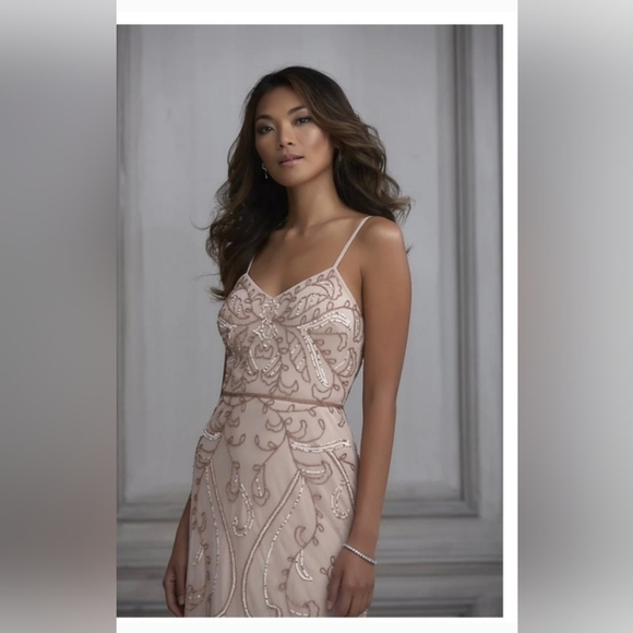 Adrianna Papell Blush Pink Embellished Prom Dress - Picture 3 of 9